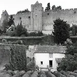 Le Petit Chai Niche Sous La Cite,